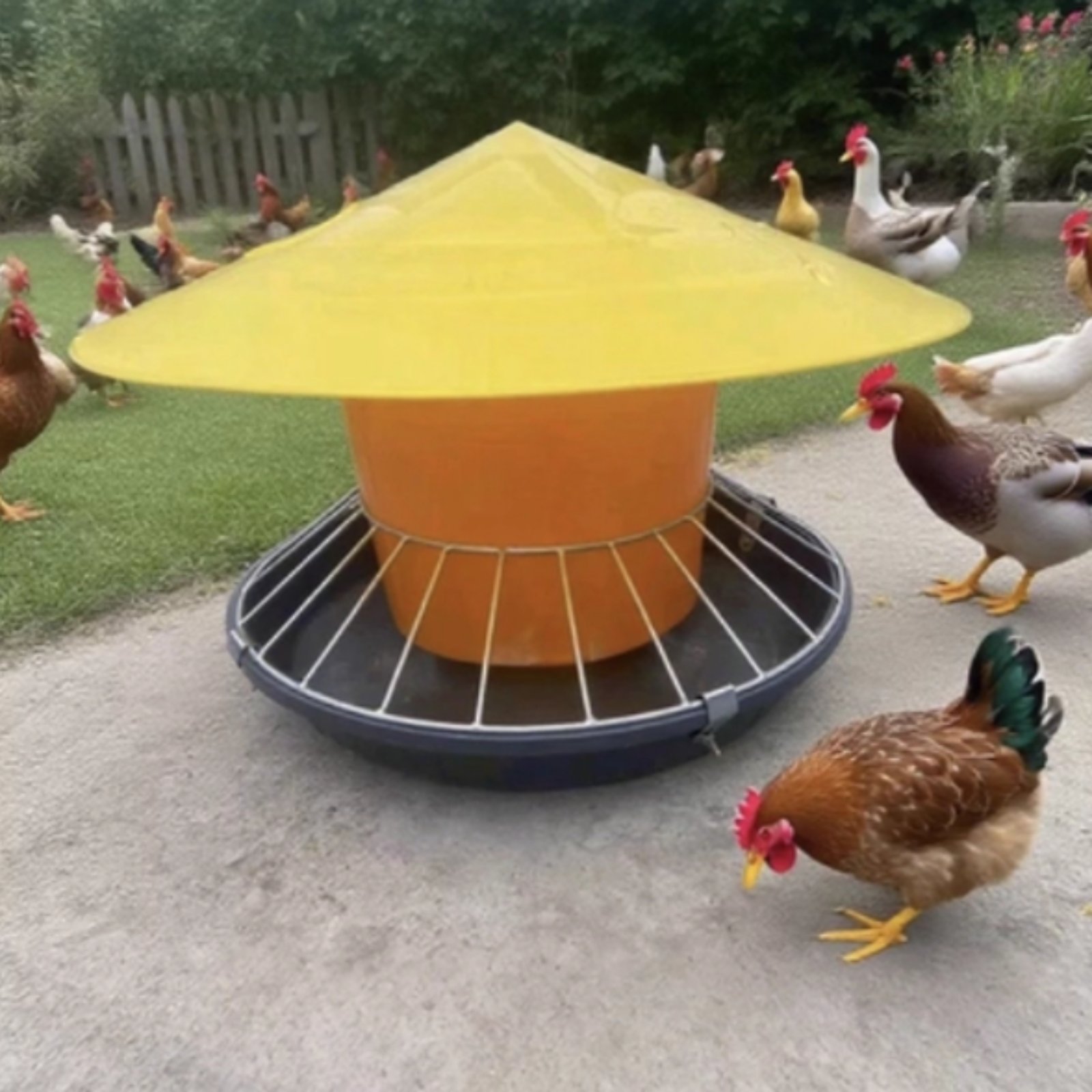 Round Fowl Feeder Large Capaci - Feeding review and price
