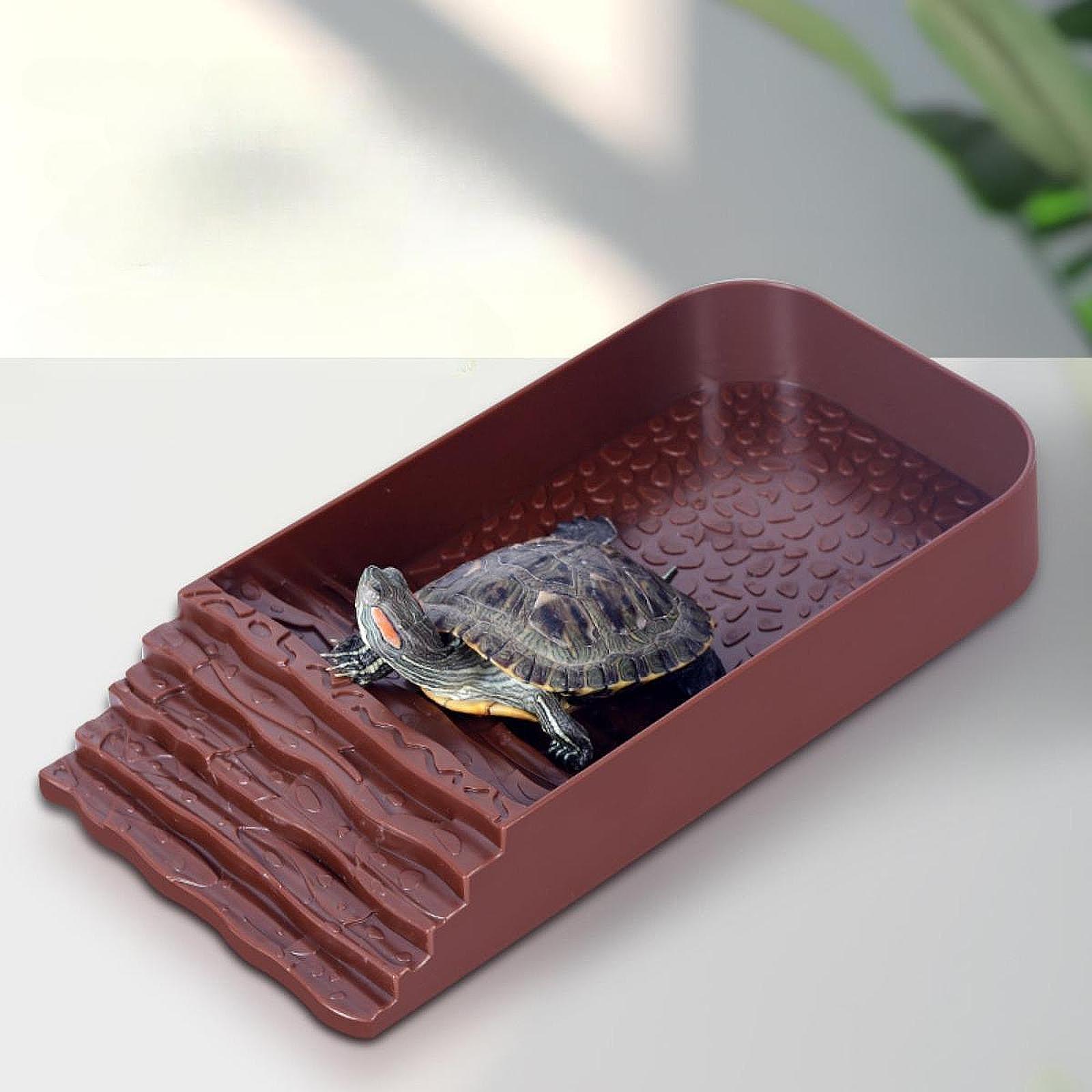 Large Turtle Water Dish Reptil - Feeding review and price